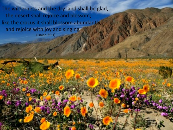 Isaiah for Everyone Isaiah 3335