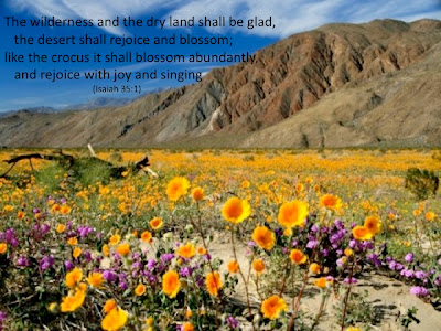 http://4.bp.blogspot.com/-PuD-taqQv_o/TyCoIXDQrII/AAAAAAAAAc8/ULykRW_CpsU/s1600/San-Diego-desert-blooming.jpg