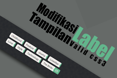 Modifikasi Widget Label dengan Counter Box Show-hide Valid CSS3 Modifikasi Widget Label dengan Counter Box Show-hide Valid CSS3