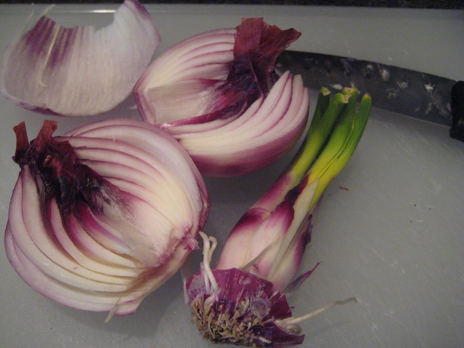 Anktangle Growing Sprouted Onions