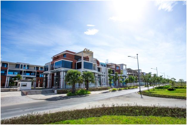 dự án căn hộ mới dự án căn hộ mới