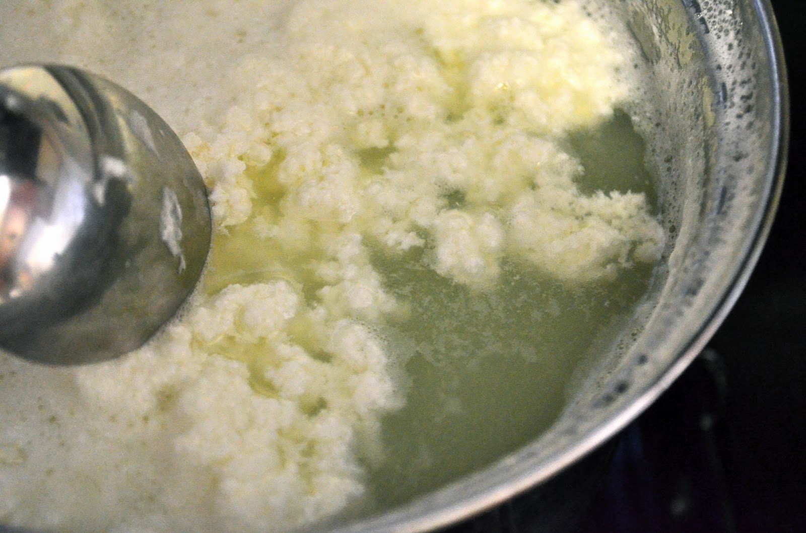 Dishing With Divya Homemade Paneer / Indian Cottage Cheese