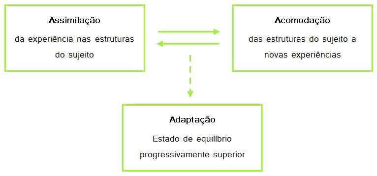 psicologia do desenvolvimento piaget