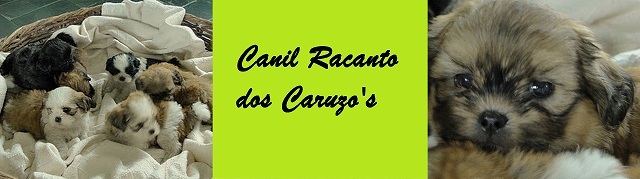 Canil Recanto dos Caruzo's