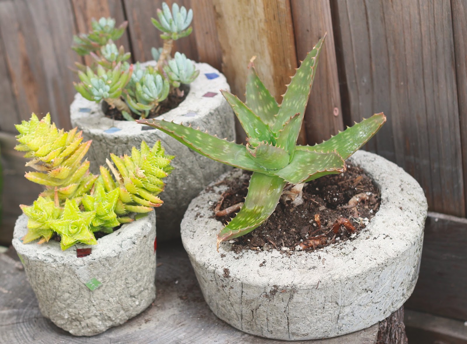 Fab Handmade DIY Cement planters