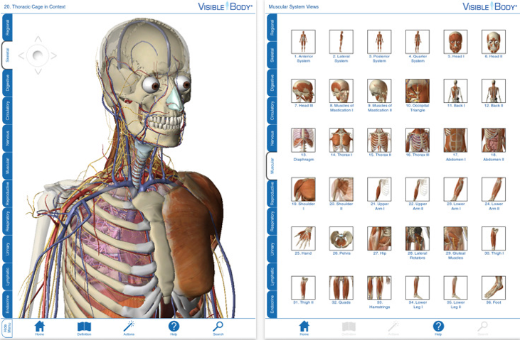visible body app developer visible body app developer