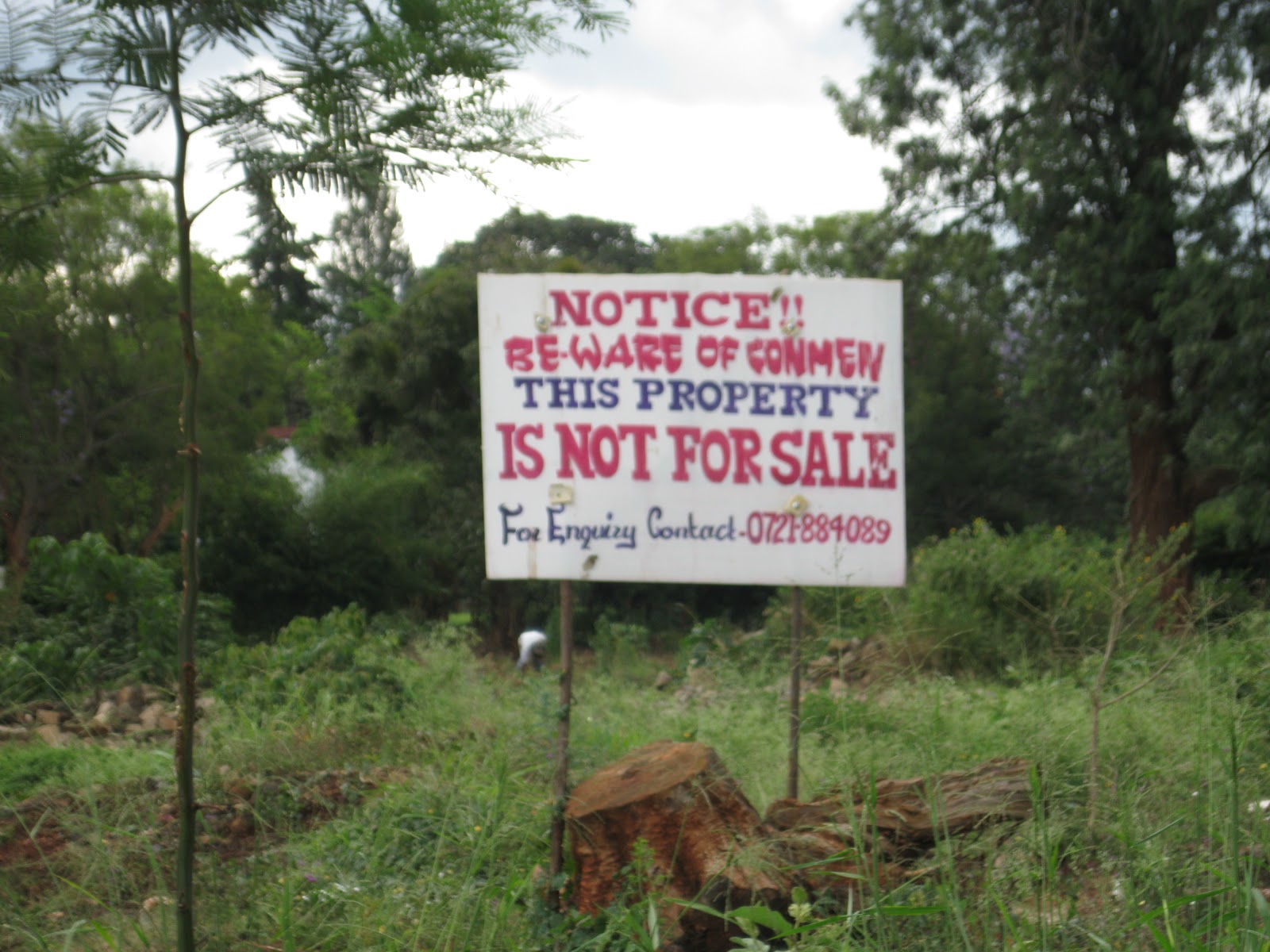 Peace Corps and Beyond Property "Not For Sale"