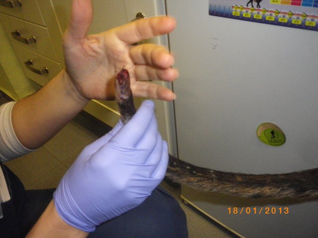 yo encontre el camino la verdad y la vida rabito