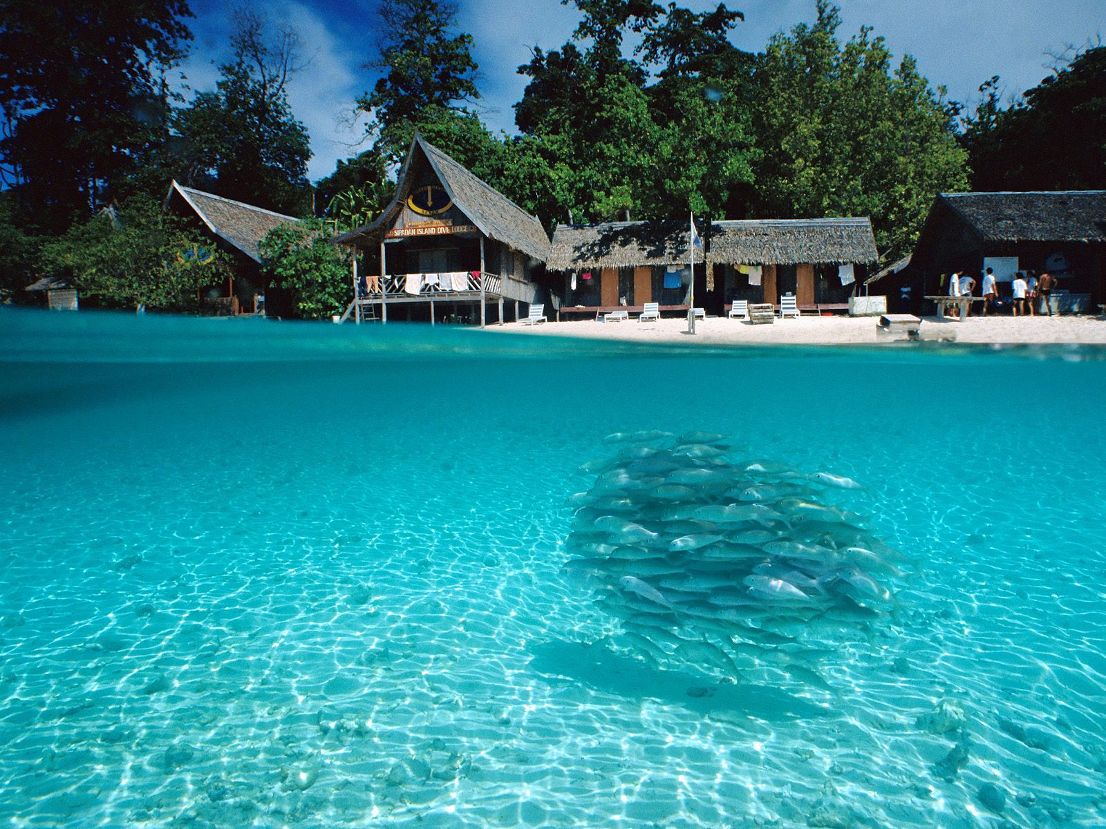 http://4.bp.blogspot.com/-PwC1yQ1cW54/Tmdaj5vA1eI/AAAAAAAABUU/9MtV7gO9BpU/s1600/%2528168%2529.jpg