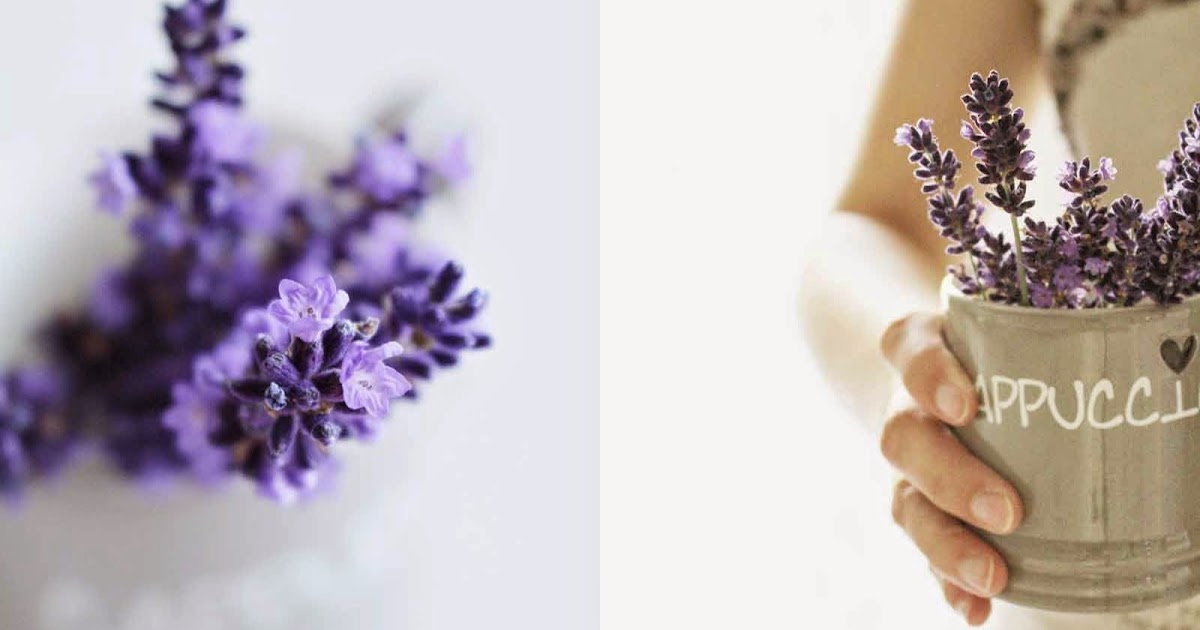 Lavendel aus dem Garten...