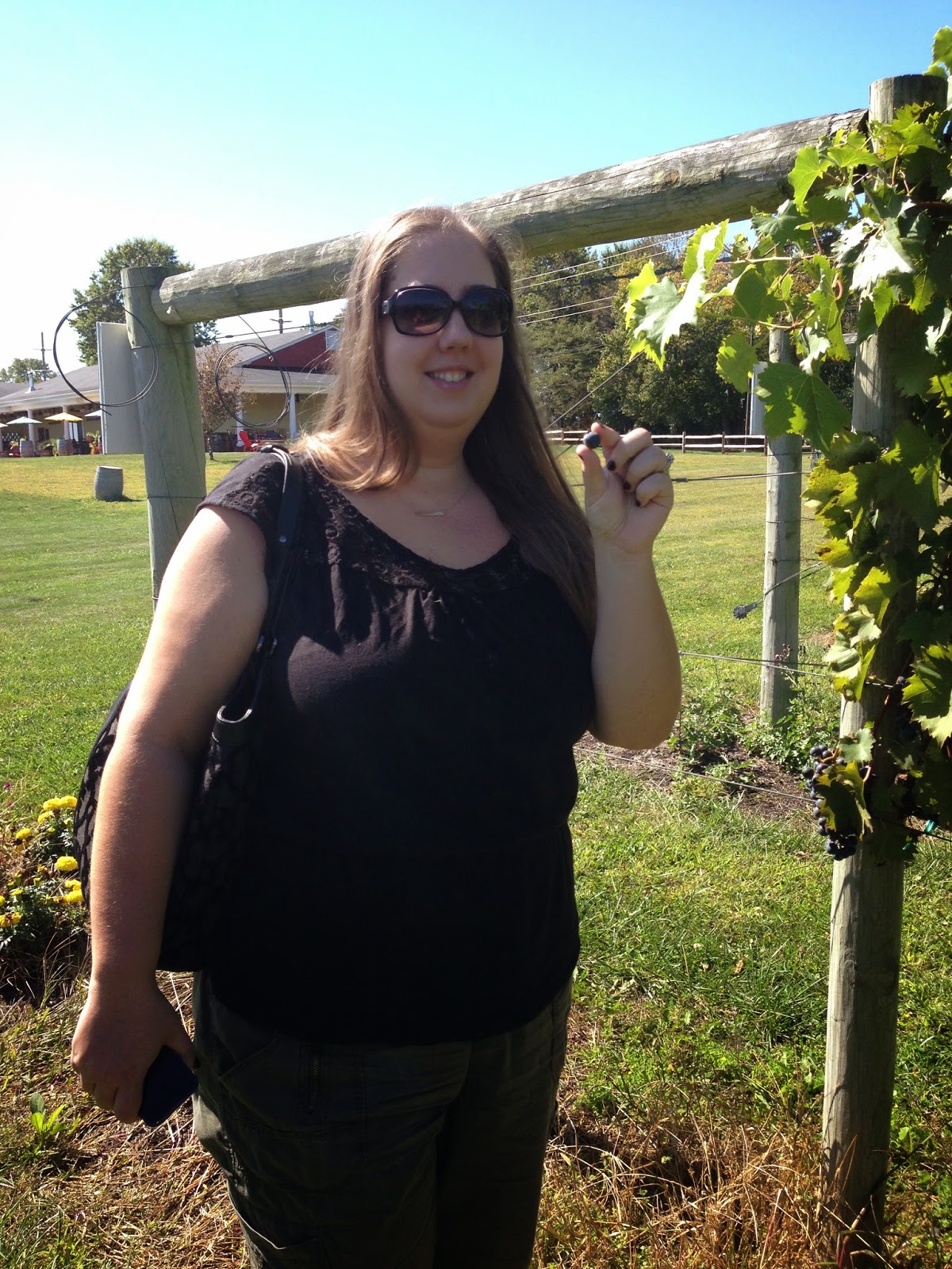 New Jersey Wine Trail - working dog winery New Jersey Wine Trail - working dog winery