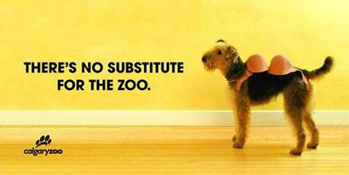 смешная реклама зоопарка в Калгари