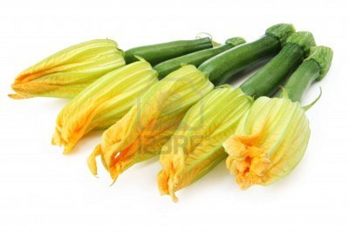 Get Sprueche con flores For Android Free