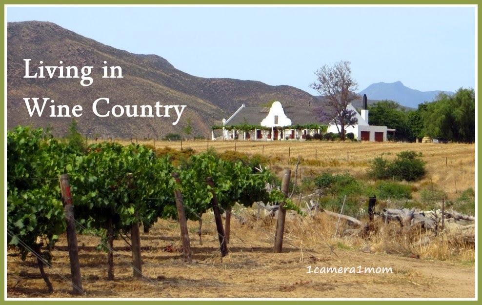 1camera1mom Living in Wine Country Part 4