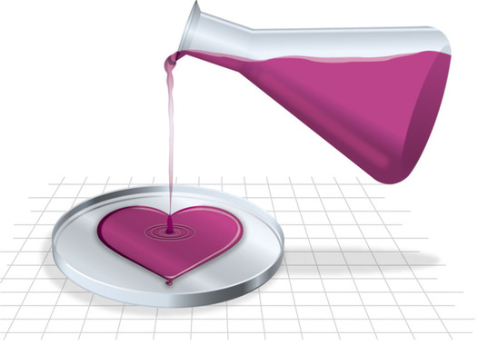 The Science of Love