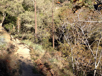 Heading north on Fish Canyon Trail Heading north on Fish Canyon Trail near, Angeles National Forest