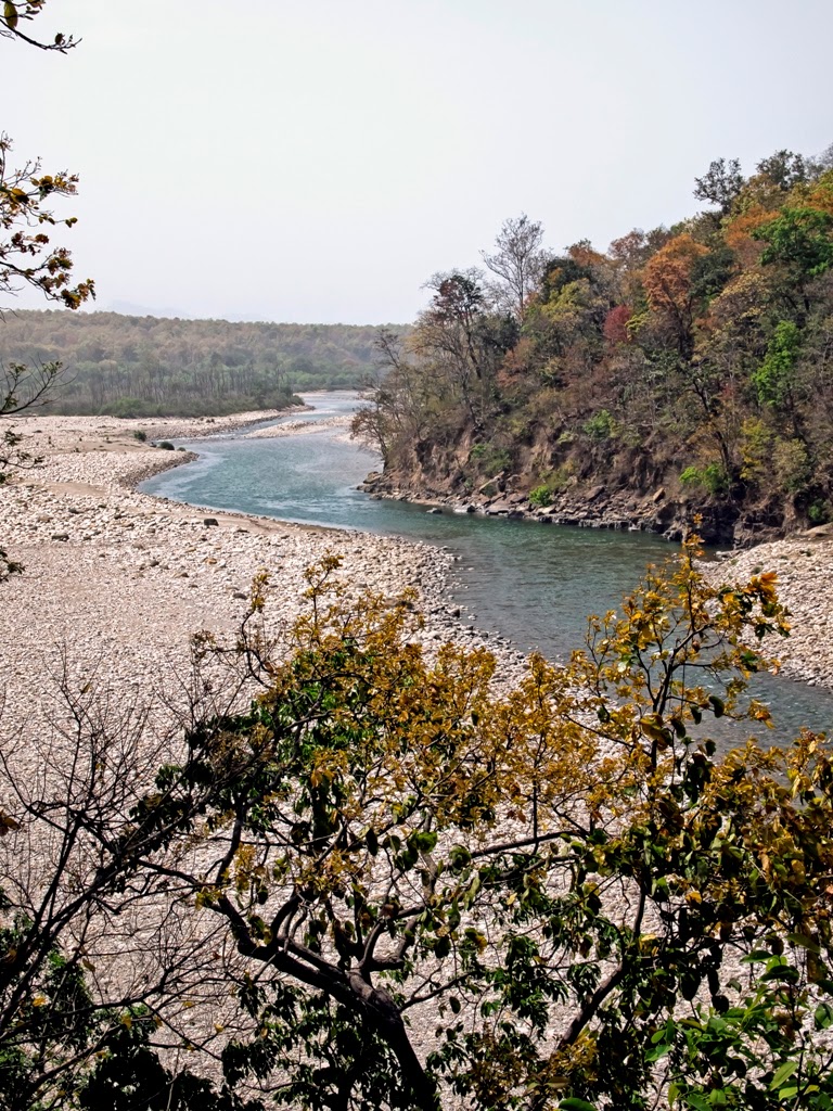 Ramganga river in Jim Corbett National Park