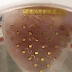Revolutionary membrane can keep your heart beating perfectly forever