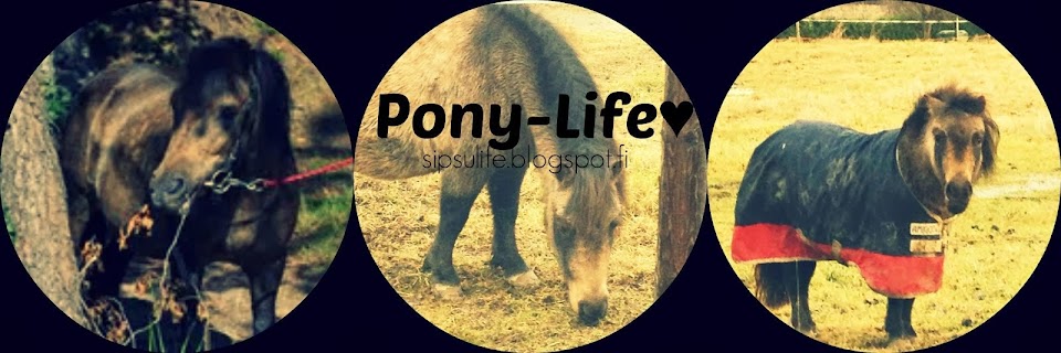 Pony-life♥