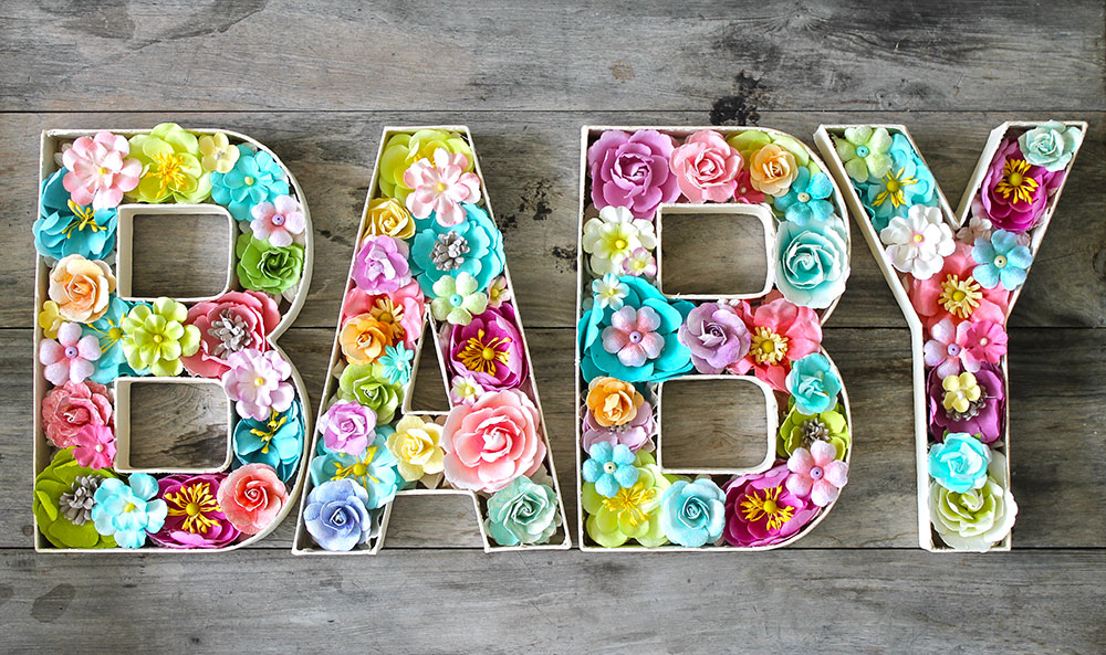 Egg baby project reflection essay 05 picture