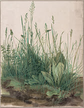 La grande touffe d'herbes - Albrecht Dürer