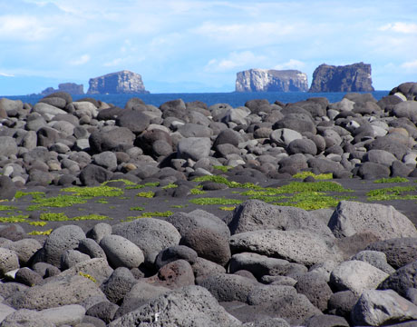 7 Natural Wonders of the World Wild Junket Adventure