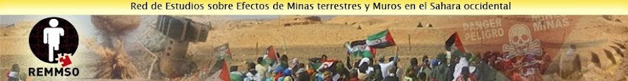 Red de Estudios sobre los efectos de las minas terrestres y muros el Sahara occidental