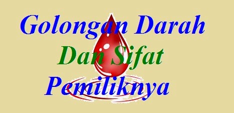 Golongan Darah Dan Sifat Pemiliknya Golongan Darah Dan Sifat Pemiliknya