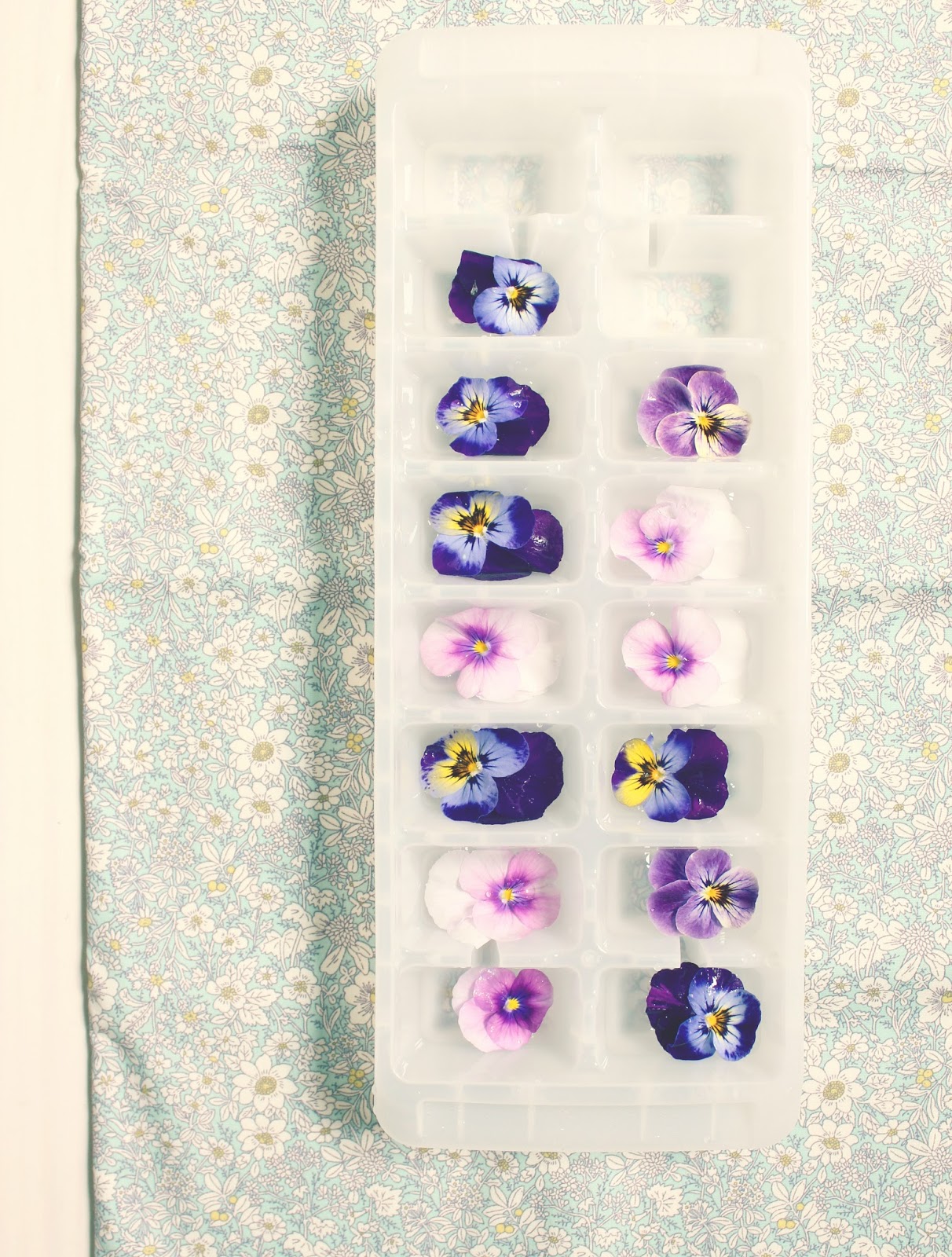 Viola Ice Cubes The Villa on Mount Pleasant