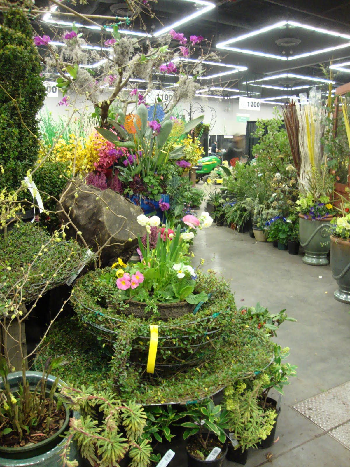 paradis express: Yard, Garden & Patio Show 2011, Portland