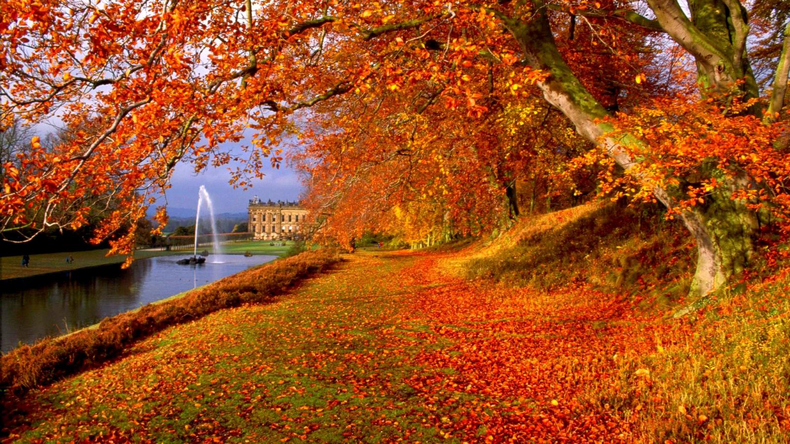 Latest Top HD Autumn Wallpapers | HDIMAGESPLUS Latest Top HD Autumn Wallpapers | HDIMAGESPLUS
