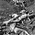 1971 Bangladesh Genocide
