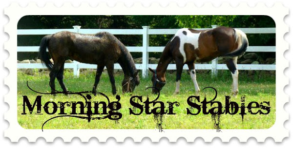 Morning Star Stables- A Blog About Horse & Home