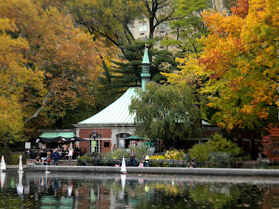 Autumn and Fall Colors