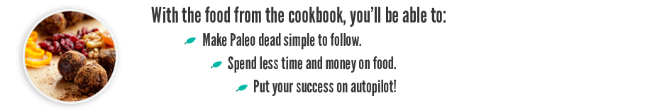 Paleo Recipe Book + 5 Bonuses, shop, paleo, recipe book, diet, nutrition