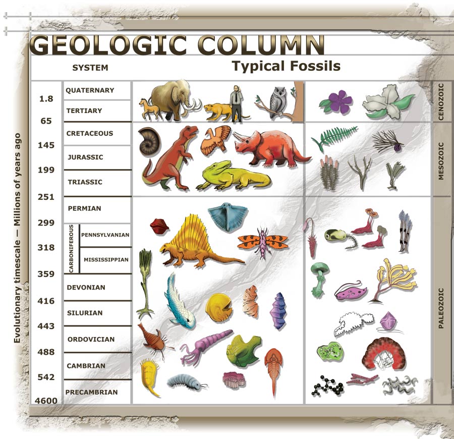 gen1rev22 mammals buried and found with dinos in the same rock layers dinosaur chart with names