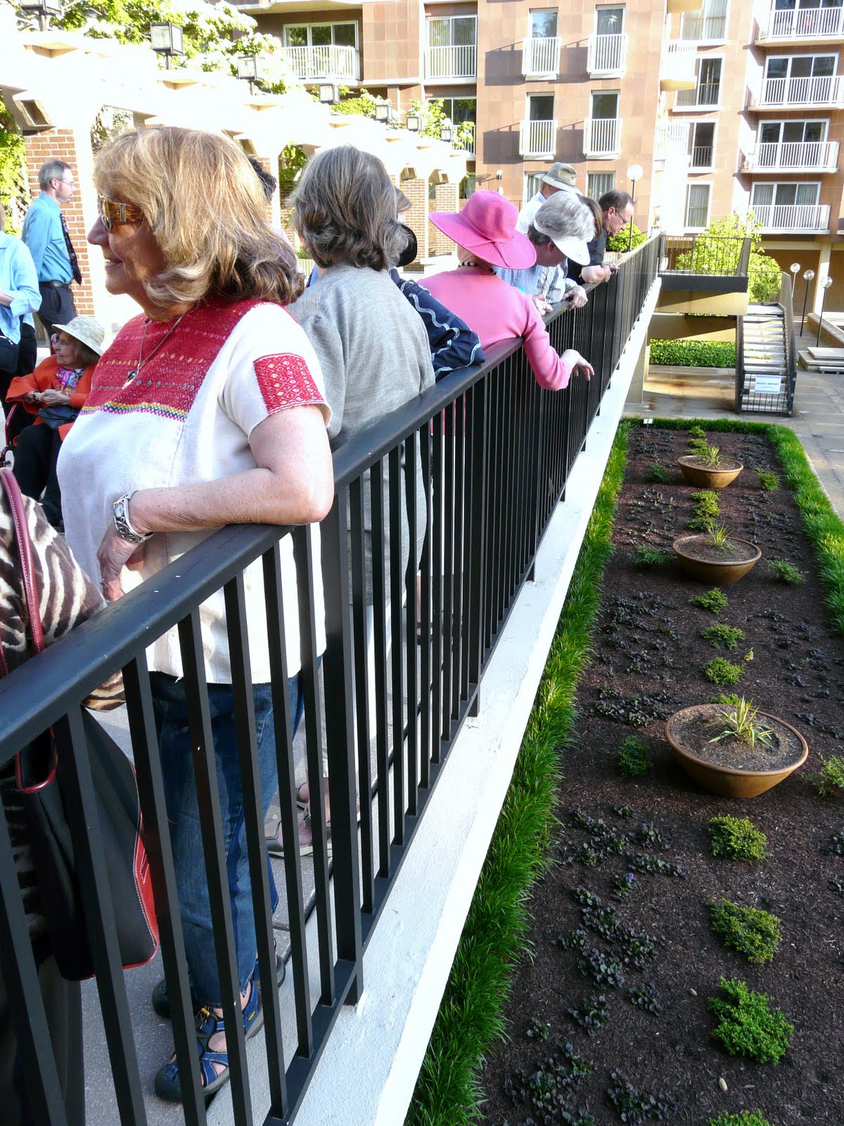 Capitol Hill Garden Club Magical May Walk at Harbour Square