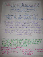 fun w/ reading and writing: Essay Writing Unit with 5th graders