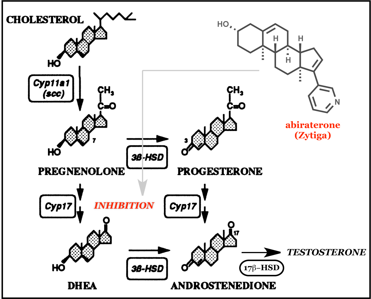 modern steroid science A HighThroughput Gene Signature Profiling