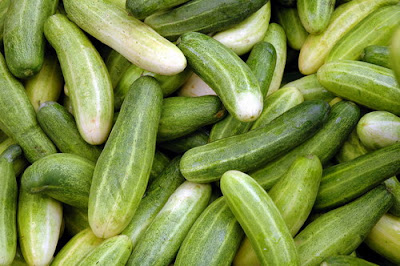 Manfaat dan Khasiat Buah Ketimun Buah Ketimun