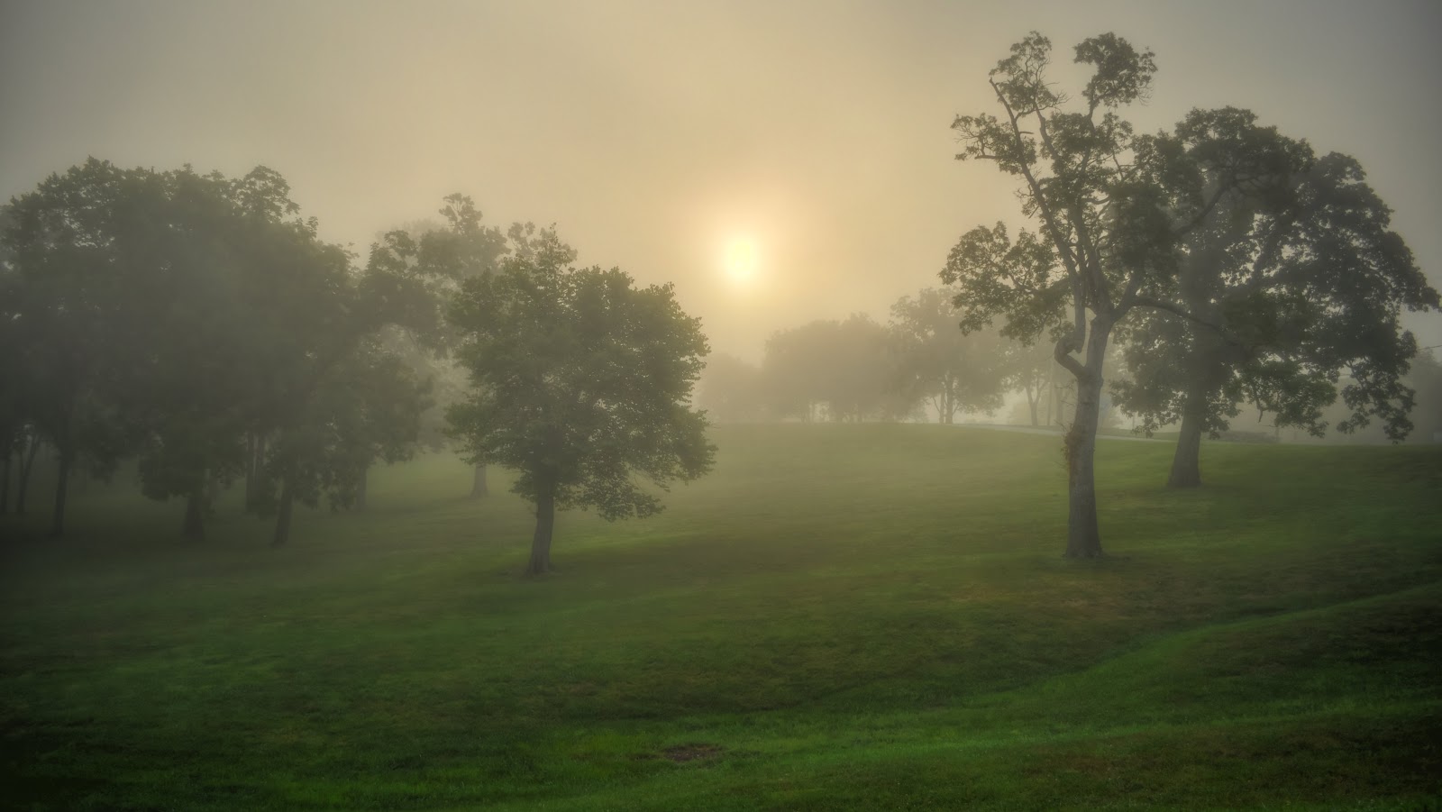 Have had so few chances to shoot fog. i love the way it makes Have had so few chances to shoot fog. i love the way it makes