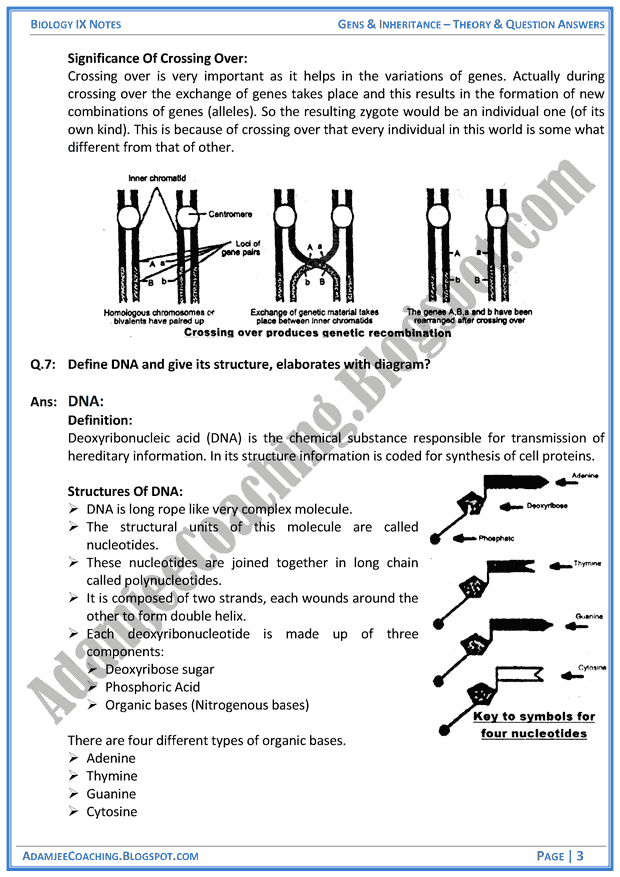 Genes-and-Inheritance-theory-notes-and-question-answers-biology-notes-for-class-9th