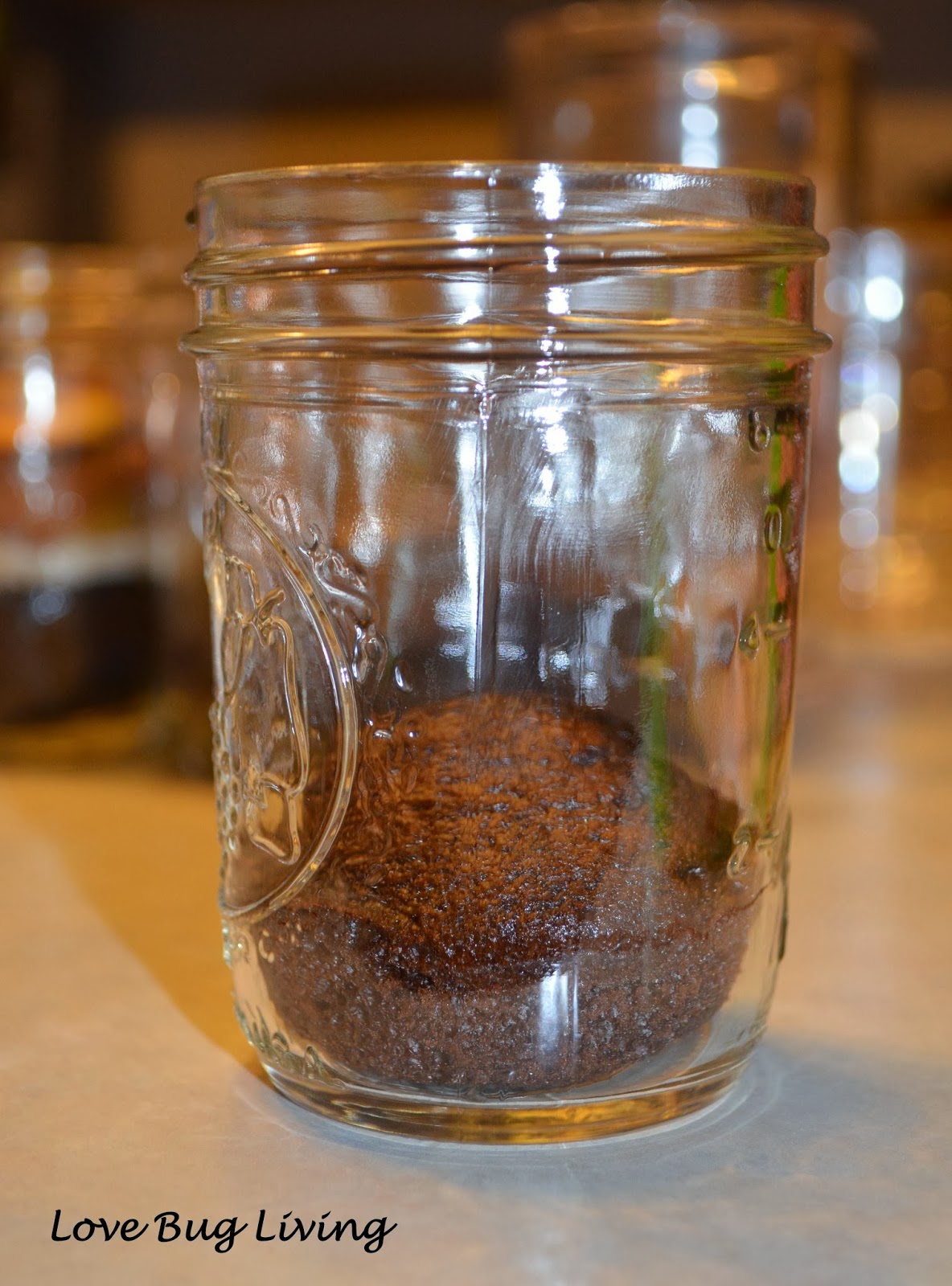 Love Bug Living Cupcakes in a Jar & Buttercream Frosting