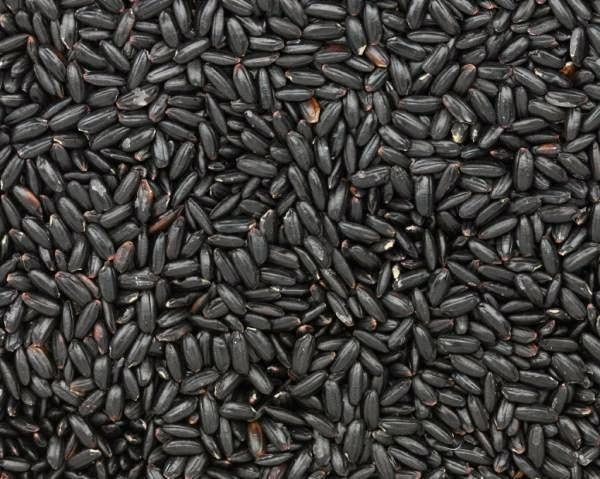 Black Rice Black Rice