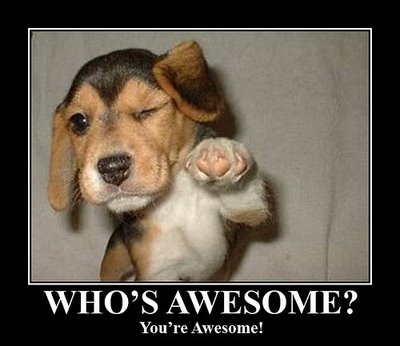 Image result for you are awesome