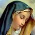 Đức Mẹ là Đấng Trung Gian của các ân sủng
