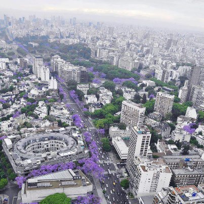Traducir Japón: Blog de Alberto Silva: Hanami en Buenos Aires