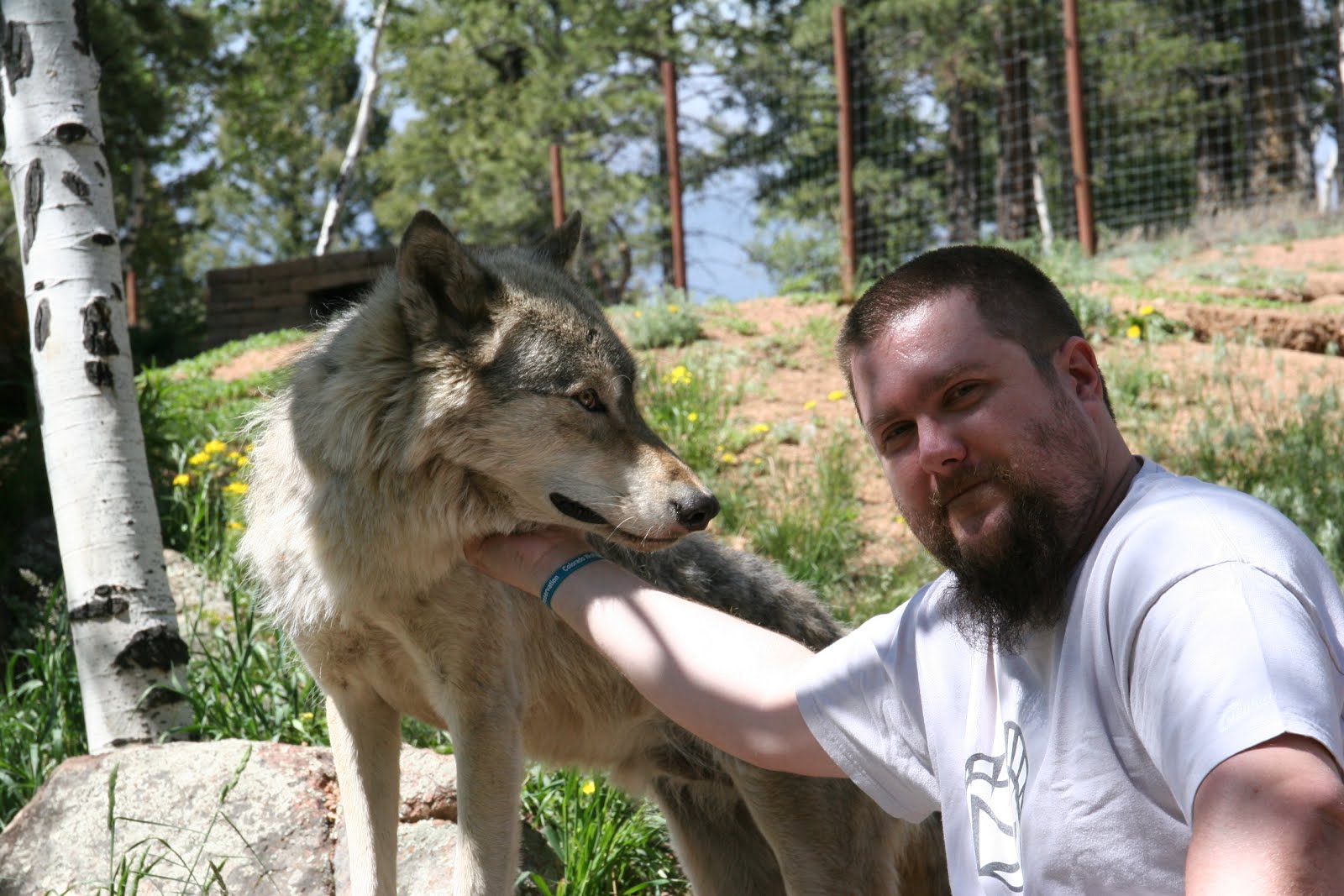 Colorado Wolf & Wildlife Center