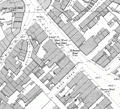 An old map snip, large scale showing the sizes of the pubs mentioned in the caption, they are all quite large.