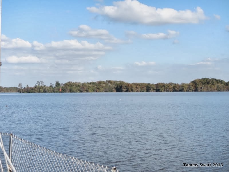 Things we did today... The Mermentau River